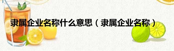 隶属企业名称什么意思（隶属企业名称）