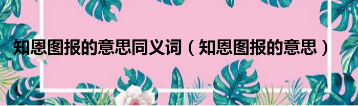 知恩图报的意思同义词（知恩图报的意思）