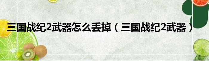 三国战纪2武器怎么丢掉（三国战纪2武器）