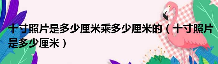 十寸照片是多少厘米乘多少厘米的（十寸照片是多少厘米）