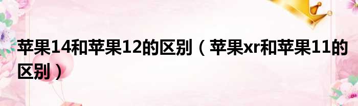 苹果14和苹果12的区别（苹果xr和苹果11的区别）