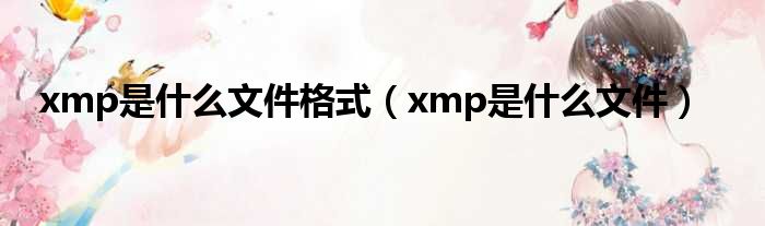 xmp是什么文件格式（xmp是什么文件）