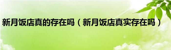 新月饭店真的存在吗（新月饭店真实存在吗）