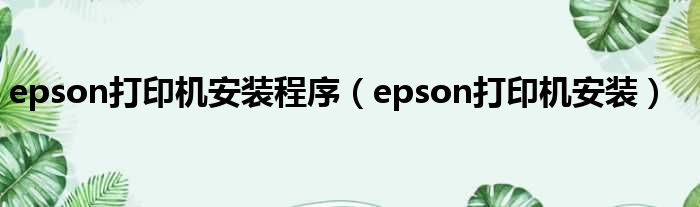 epson打印机安装程序（epson打印机安装）