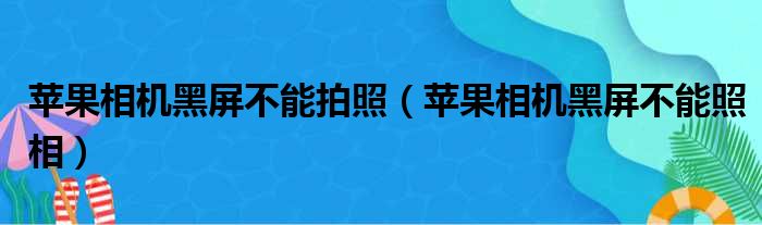 苹果相机黑屏不能拍照（苹果相机黑屏不能照相）