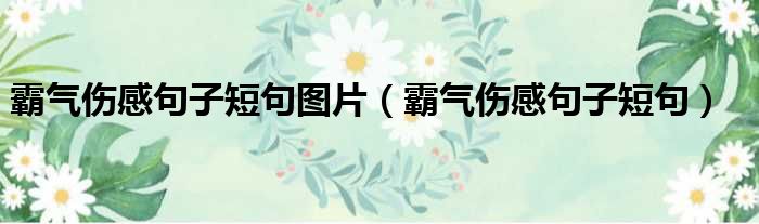 霸气伤感句子短句图片（霸气伤感句子短句）