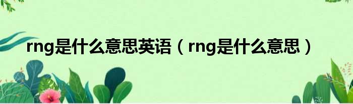 rng是什么意思英语（rng是什么意思）