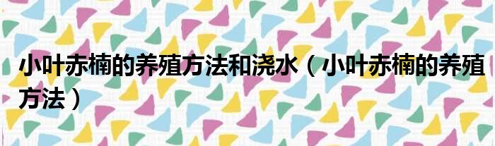 小叶赤楠的养殖方法和浇水（小叶赤楠的养殖方法）