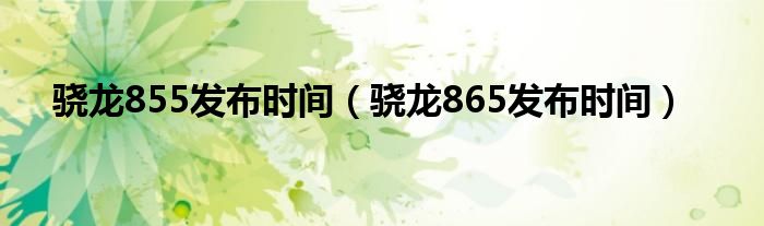 骁龙855发布时间（骁龙865发布时间）