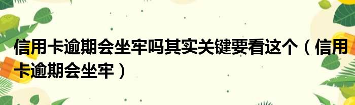 信用卡逾期会坐牢吗其实关键要看这个（信用卡逾期会坐牢）