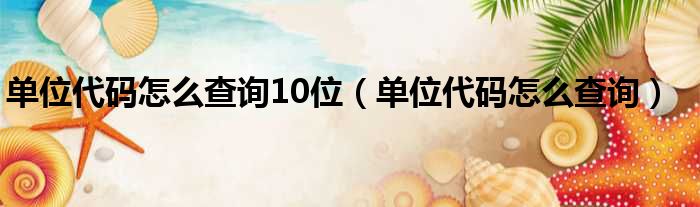 单位代码怎么查询10位（单位代码怎么查询）