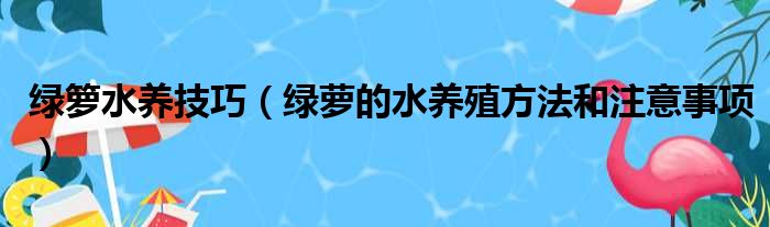 绿箩水养技巧（绿萝的水养殖方法和注意事项）