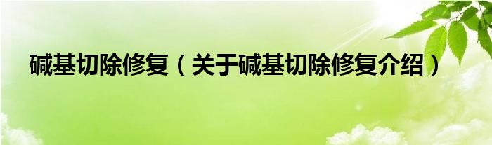  碱基切除修复（关于碱基切除修复介绍）