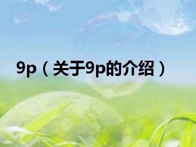 9p（关于9p的介绍）