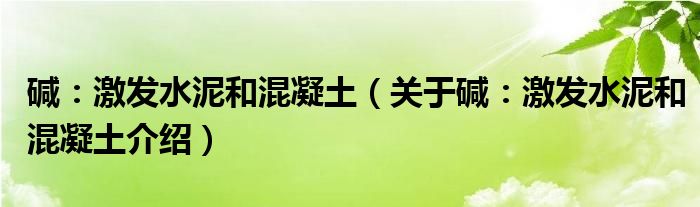  碱：激发水泥和混凝土（关于碱：激发水泥和混凝土介绍）