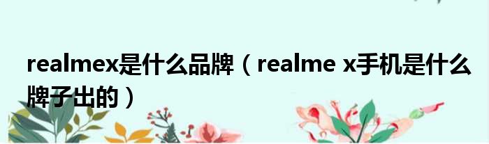 realmex是什么品牌（realme x手机是什么牌子出的）