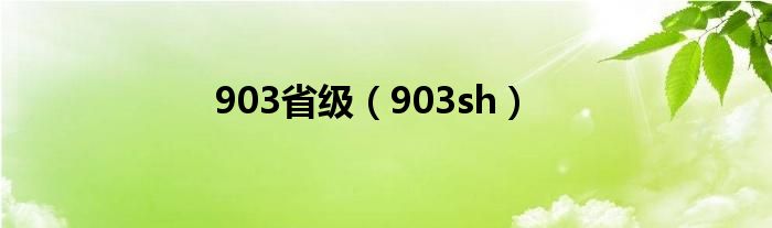  903省级（903sh）