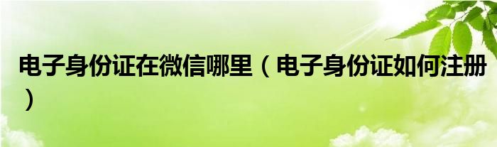 电子身份证在微信哪里（电子身份证如何注册）