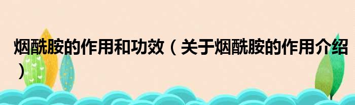 烟酰胺的作用和功效（关于烟酰胺的作用介绍）