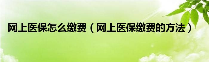 网上医保怎么缴费（网上医保缴费的方法）