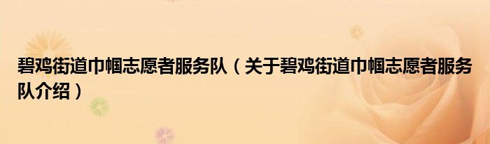  碧鸡街道巾帼志愿者服务队（关于碧鸡街道巾帼志愿者服务队介绍）