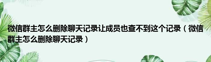 微信群主怎么删除聊天记录让成员也查不到这个记录（微信群主怎么删除聊天记录）