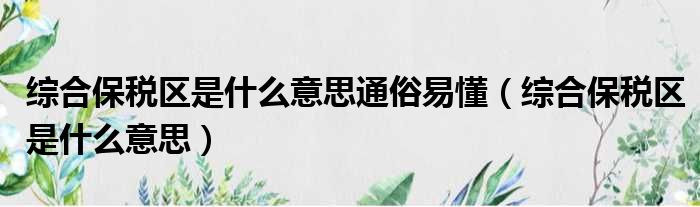 综合保税区是什么意思通俗易懂（综合保税区是什么意思）