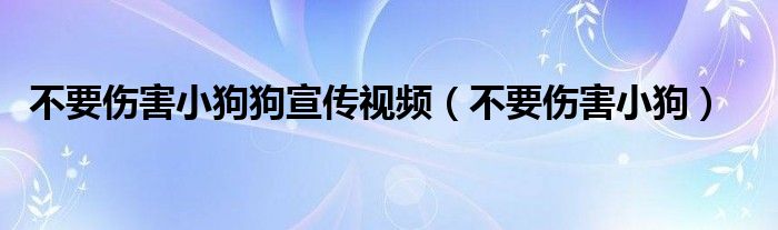  不要伤害小狗狗宣传视频（不要伤害小狗）