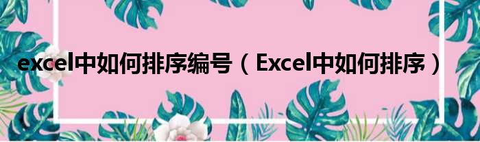 excel中如何排序编号（Excel中如何排序）