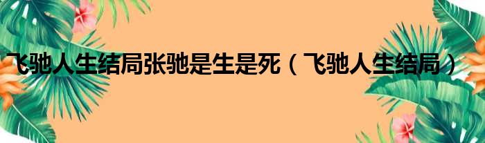 飞驰人生结局张驰是生是死（飞驰人生结局）