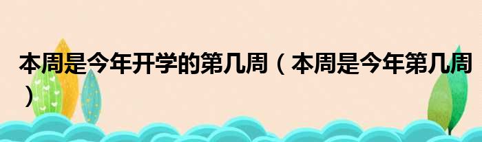 本周是今年开学的第几周（本周是今年第几周）