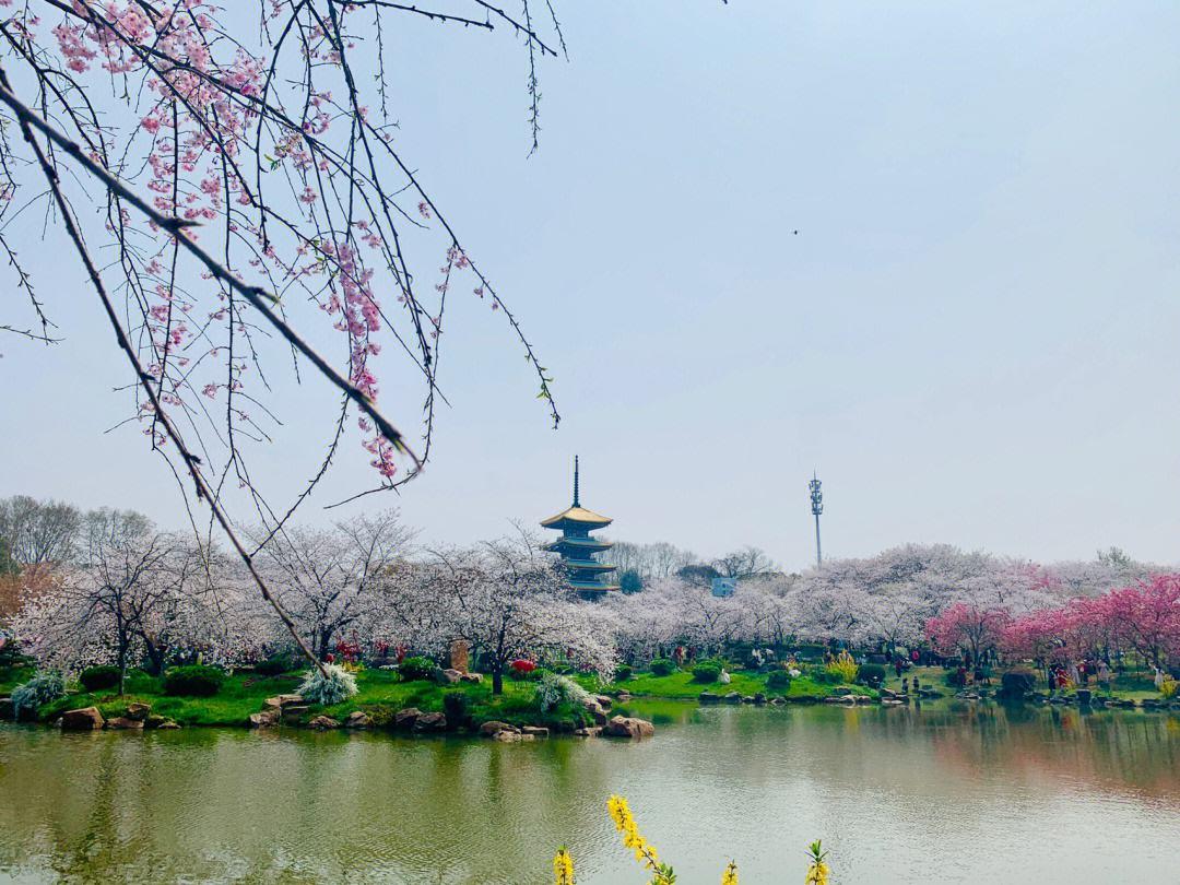 武汉哪些旅游景点好玩（武汉什么地方最好玩最出名）(图2)