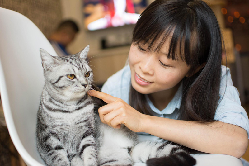 猫一岁相当于人的几岁-（一年猫相当于几岁）(图4)