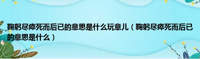 鞠躬尽瘁死而后已的意思是什么玩意儿（鞠躬尽瘁死而后已的意思是什么）