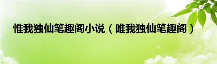 惟我独仙笔趣阁小说（唯我独仙笔趣阁）