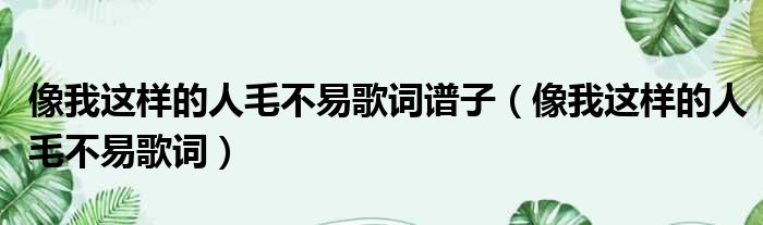 像我这样的人毛不易歌词谱子（像我这样的人毛不易歌词）