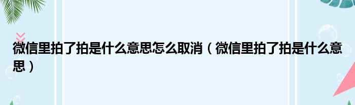 微信里拍了拍是什么意思怎么取消（微信里拍了拍是什么意思）