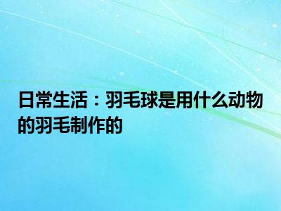 日常生活：羽毛球是用什么动物的羽毛制作的