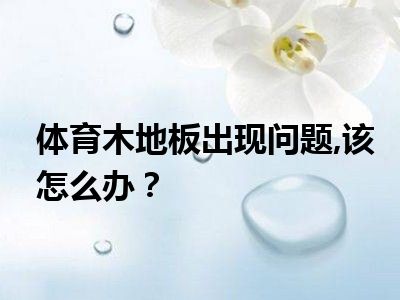 体育木地板出现问题 该怎么办？