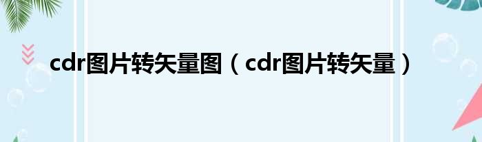 cdr图片转矢量图（cdr图片转矢量）