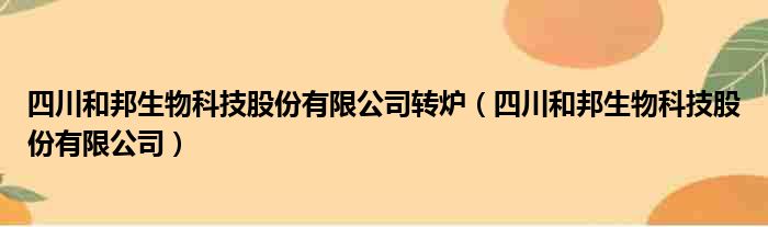 四川和邦生物科技股份有限公司转炉（四川和邦生物科技股份有限公司）