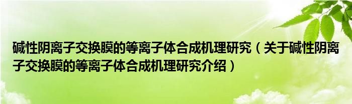  碱性阴离子交换膜的等离子体合成机理研究（关于碱性阴离子交换膜的等离子体合成机理研究介绍）