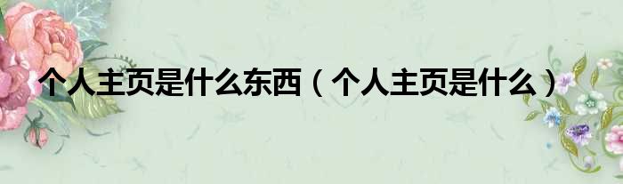 个人主页是什么东西（个人主页是什么）