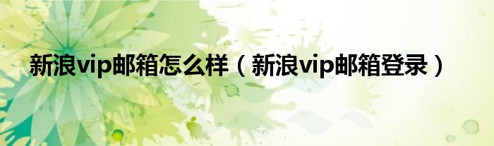 新浪vip邮箱怎么样（新浪vip邮箱登录）