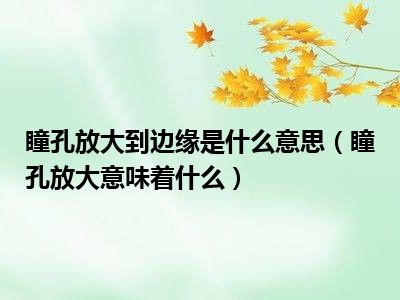 瞳孔放大到边缘是什么意思（瞳孔放大意味着什么）