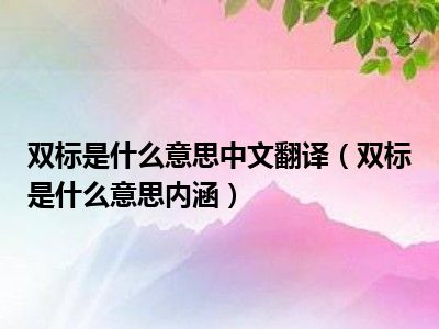 双标是什么意思中文翻译（双标是什么意思内涵）