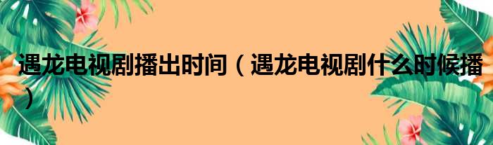 遇龙电视剧播出时间（遇龙电视剧什么时候播）