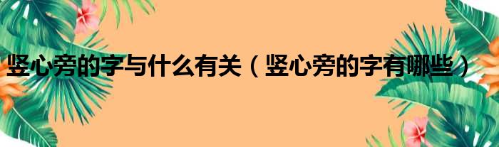 竖心旁的字与什么有关（竖心旁的字有哪些）