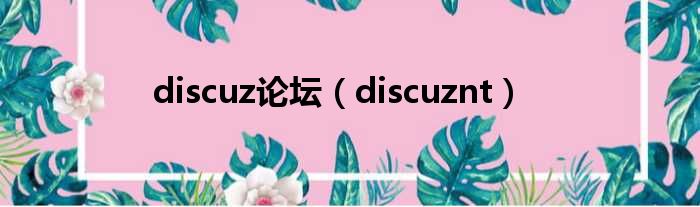 discuz论坛（discuznt）