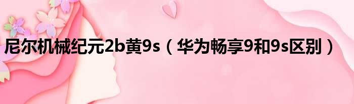 尼尔机械纪元2b黄9s（华为畅享9和9s区别）